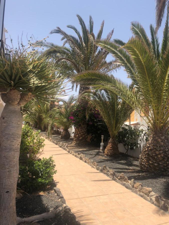 Apartamento Smile Complex Amaya Fuerteventura Коста-де-Антигуа Экстерьер фото