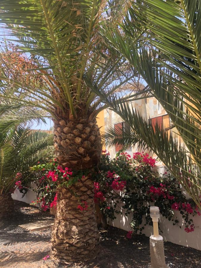 Apartamento Smile Complex Amaya Fuerteventura Коста-де-Антигуа Экстерьер фото